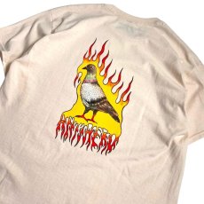 画像4: Anti Hero Flame Pigeon Tee Natural / アンタイヒーロー フレーム ピジョン Tシャツ ナチュラル (4)