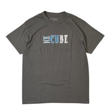 画像1: Ice Cube S/S T-Shirts Grey / アイス・キューブ ショートスリーブ Tシャツ グレー (1)