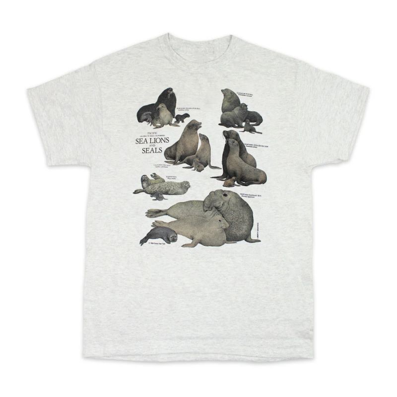 Liberty Graphics Sea Lion & Seals S/S T-Shirts Ash / リバティ ...